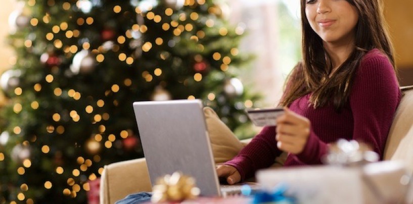 Prevent Credit Card Fraud this Holiday Season